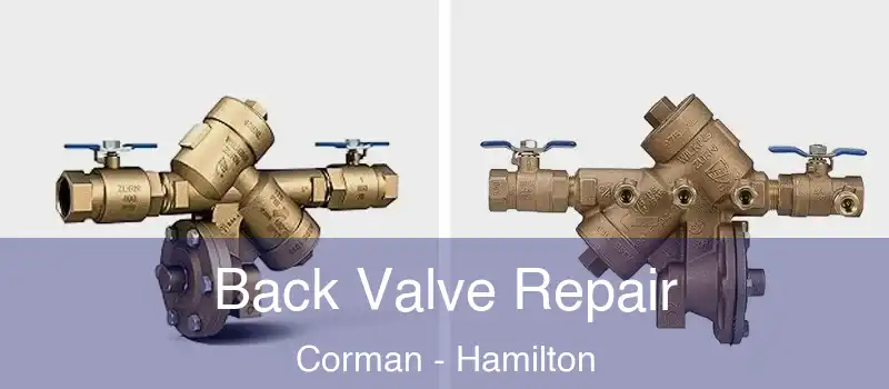  Back Valve Repair Corman - Hamilton