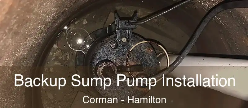  Backup Sump Pump Installation Corman - Hamilton