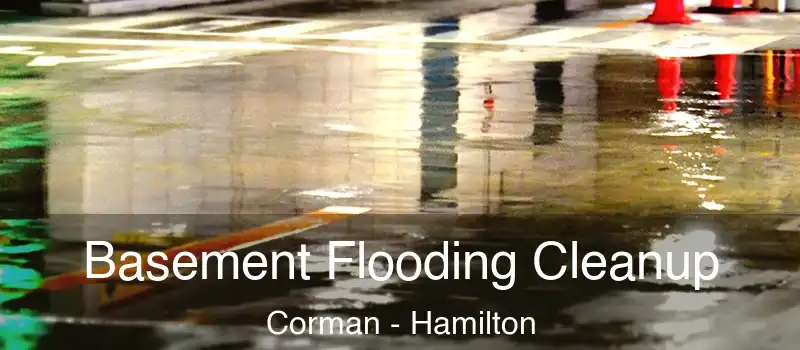  Basement Flooding Cleanup Corman - Hamilton