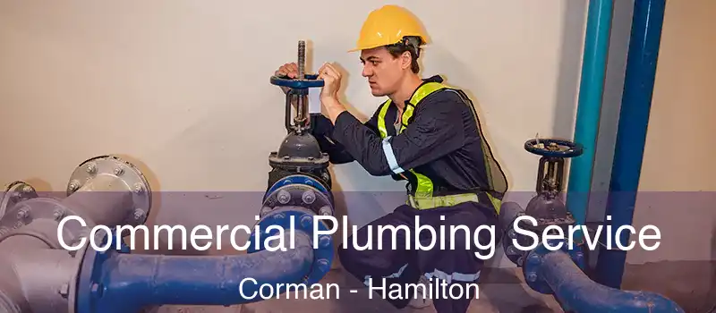  Commercial Plumbing Service Corman - Hamilton