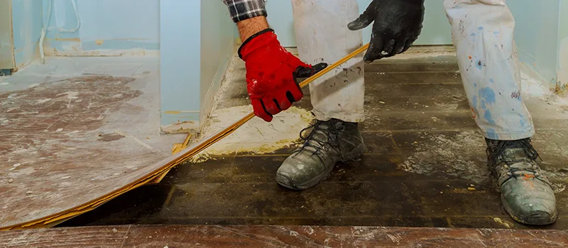 Cost Of Flooded Basement Cleanup in Corman, Hamilton