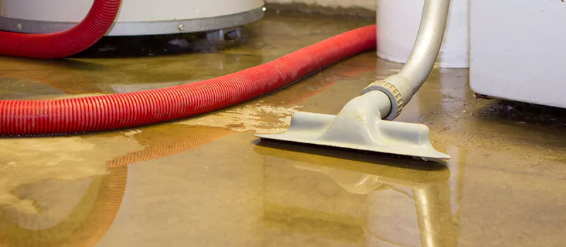 Professional Sewer Backup Cleanup Services in Corman, Hamilton