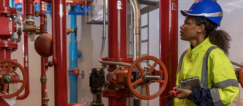 Expert Commercial Plumbers in Corman, Hamilton