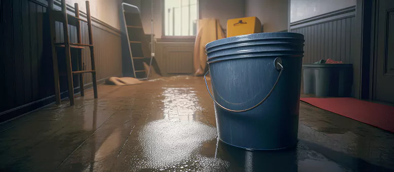 Flooded Basement Restoration Assistance in Corman, Hamilton