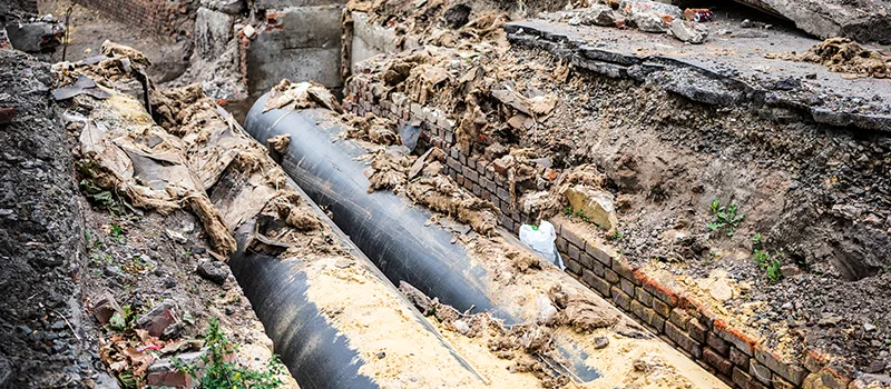 Commercial Sewer Tree Roots Damage Solutions in Corman, Hamilton