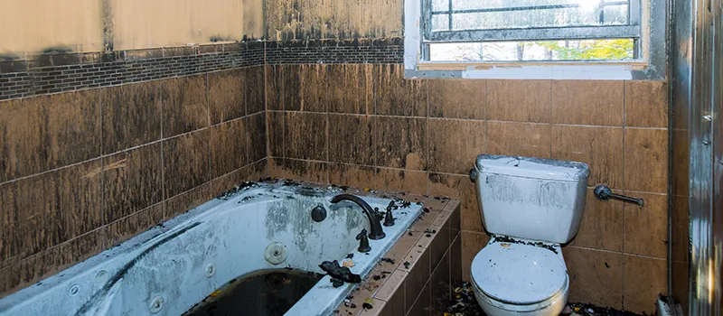 Residential Water Damage Restoration in Corman, Hamilton