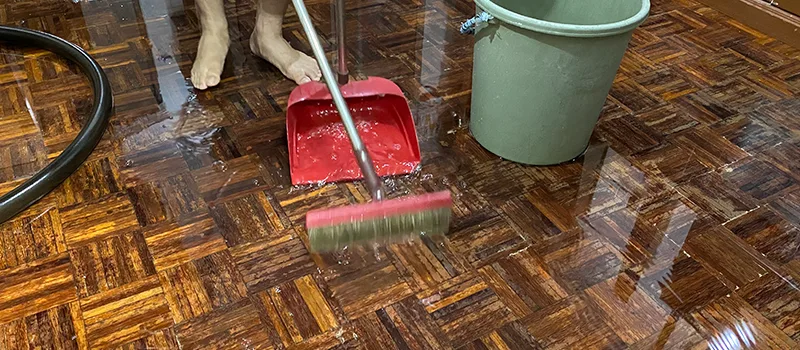 Water Removal And Restoration Services in Corman, Hamilton