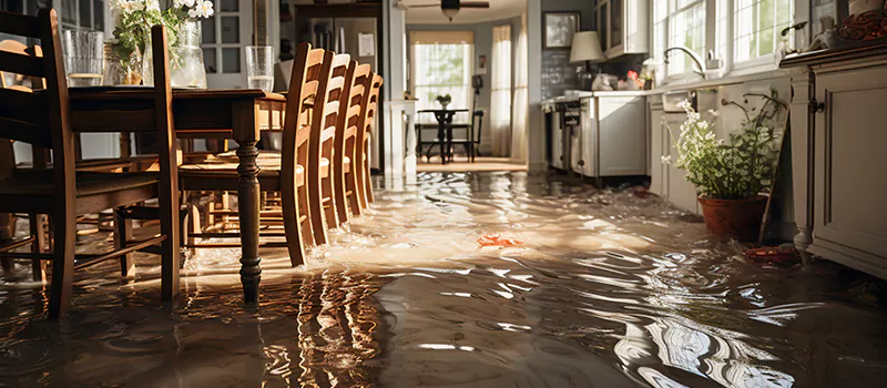 Flooded House Help Near Me in Corman, Hamilton