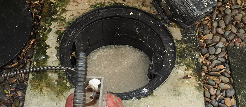 Hydro Jetting For Root Removal in Corman, Hamilton