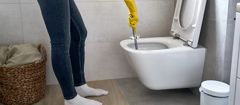 Toilet Flush Valve Installation Services in Corman, Hamilton