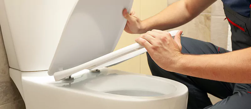 Damaged Toilet Parts Replacement Services in Corman, Hamilton