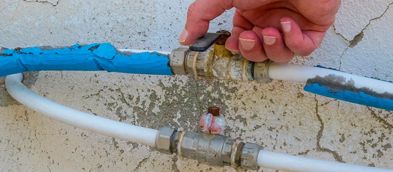 Ceiling Water Damage Repair in Corman, Hamilton
