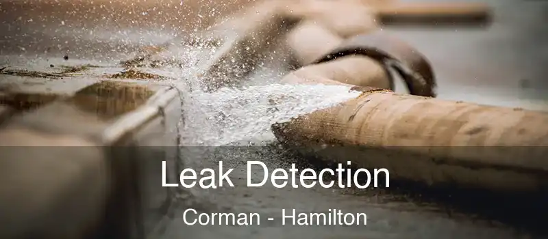  Leak Detection Corman - Hamilton