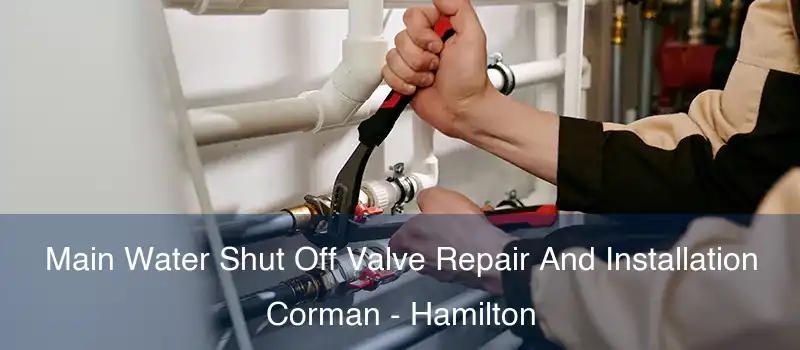  Main Water Shut Off Valve Repair And Installation Corman - Hamilton